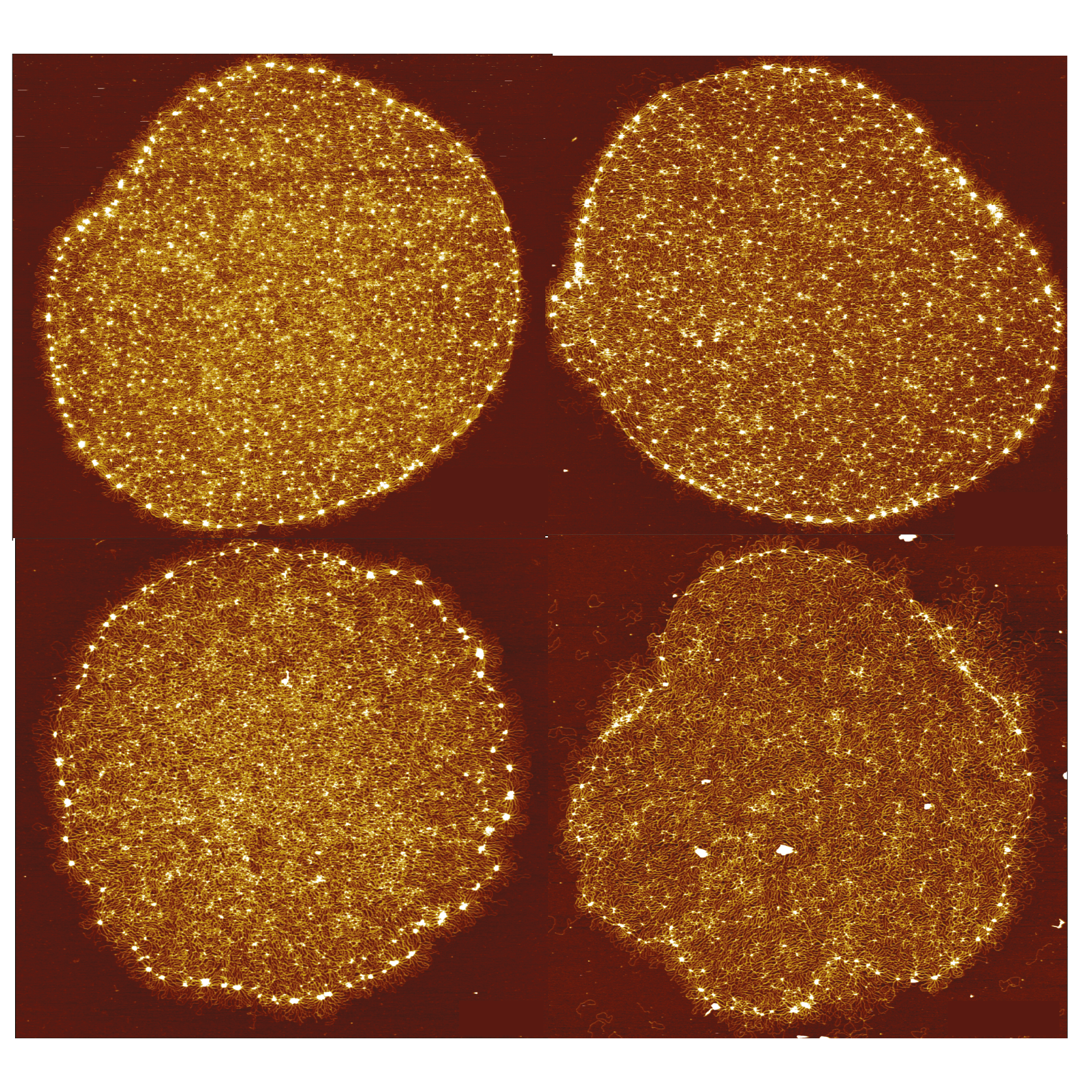 ic3